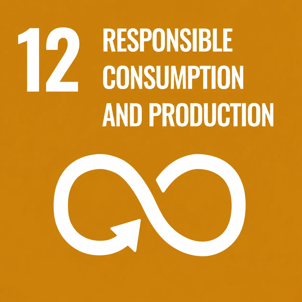 SDG 12 Responsible Consumption and Production